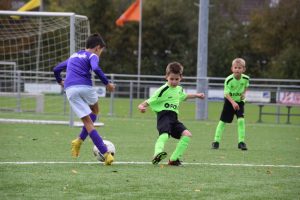 Thijs2